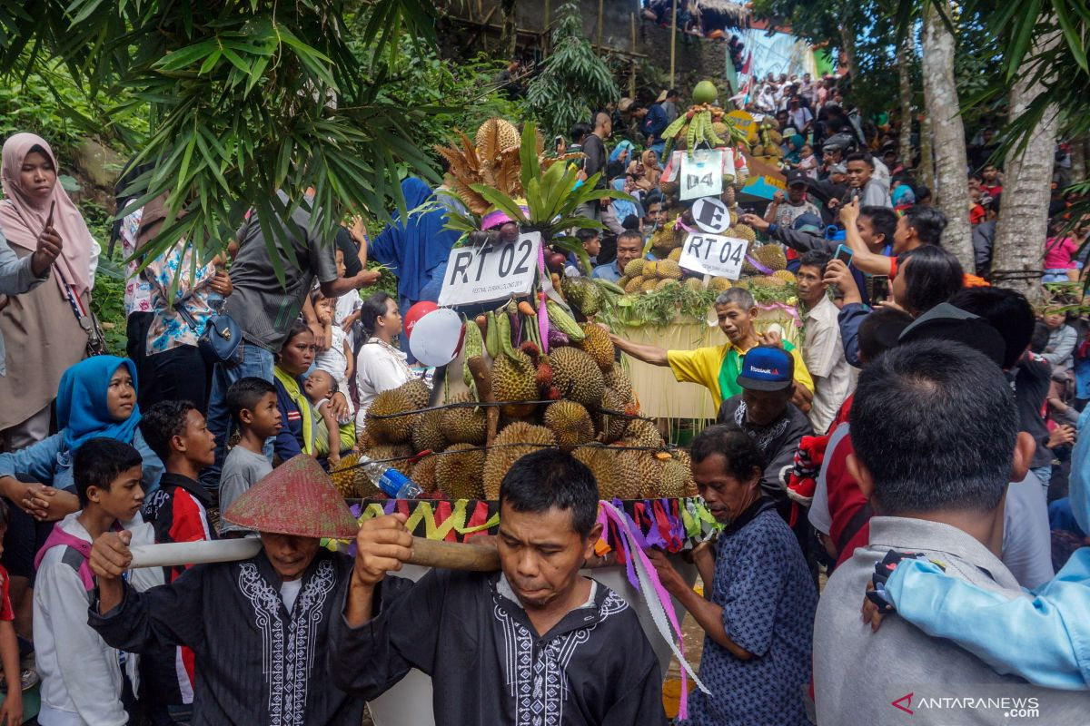 Festival Durian Lolong